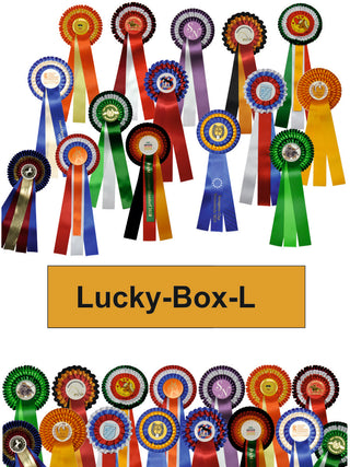 Lucky-Box-L