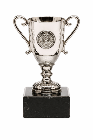 52020 Trophäe, silber, 11 cm - 15 cm